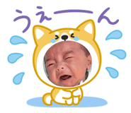 764430041