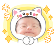 764430043