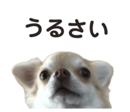764430843