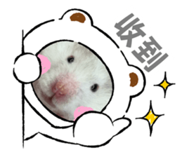764440983