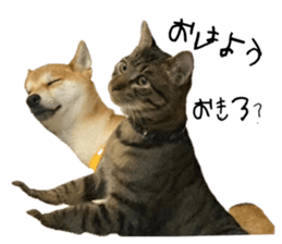 764443519