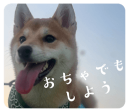 764443527