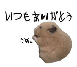 764443536