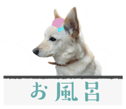 764443668