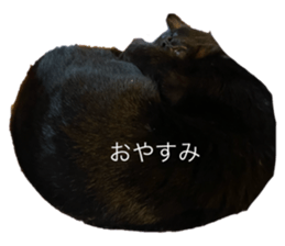 764444381