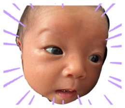 764444982