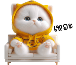 764470161