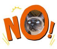 764474140