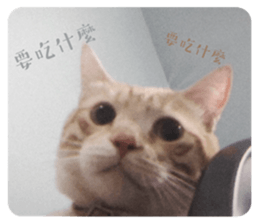 764492961