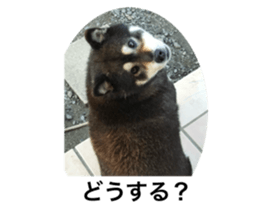 764496813
