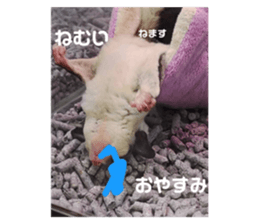 764498608