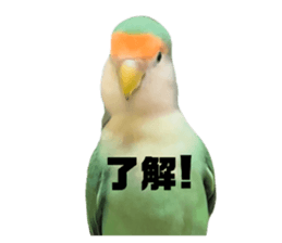 764504045