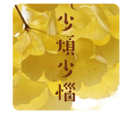 764505673