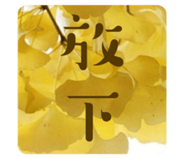 764505687