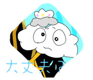 764508555