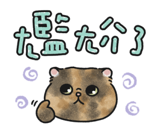 Oba Cat - Bold Text Stickers รูปที่ 17