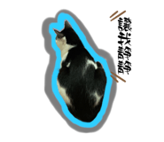 764517609
