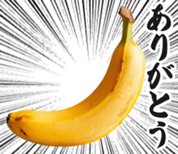 764525514