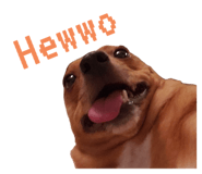 764531089