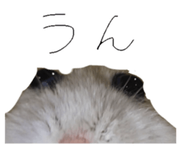 764536819