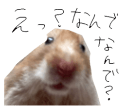 764536821