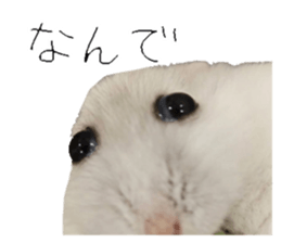 764536822