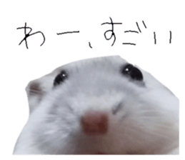 764536823