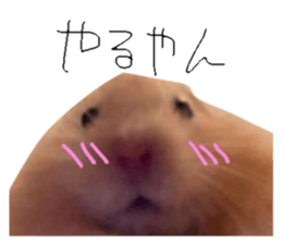 764536824