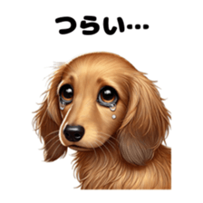 764539004