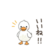 764539780
