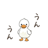 764539796