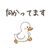 764539803