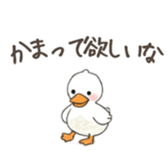 764539807