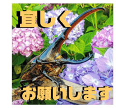 764541025