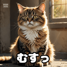 764542332