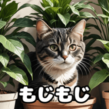 764542337