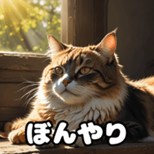 764542348
