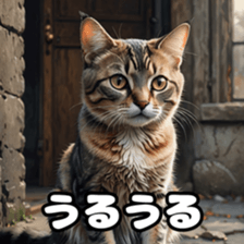764542366