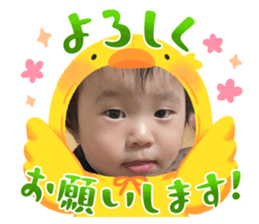 764550194