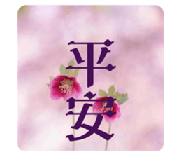 764552100