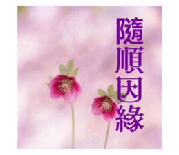 764552104
