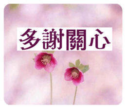 764552113