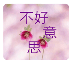 764552116