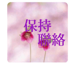 764552119