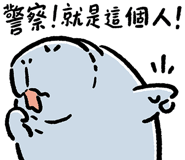 764553894