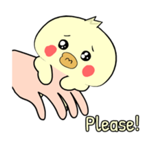 764554343