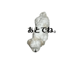 764558754