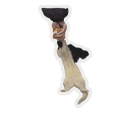 764561878