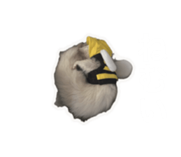 764561880