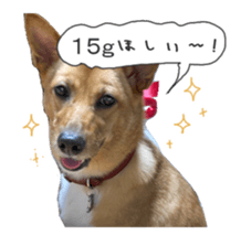 764568507